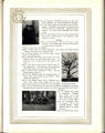 1919 Yearbook