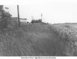 Pilot Mound, Iowa. MSTL