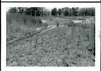 Lewis Newell Farm Waterway