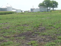 2007 Jack Strawhacker photos of pastures and ponds