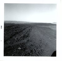 Terraces on Robert Wiese cropland