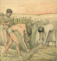Women gathering the cattails