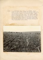 1934 - 1938 Multi-State Photograph Collection  