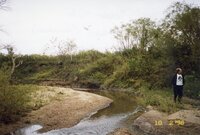 1998 Roger Hunt from Trees Forever  walks along riverbank<br />
