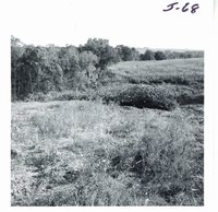 Daryl Heiderscheit farm's waterway, 1969