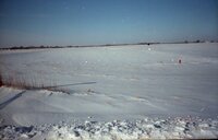 Snowy fields