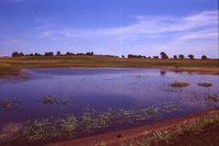 Larry Braby's Farm Before and After a Wetland Construction Project.