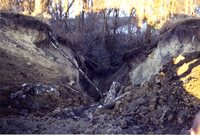 Photograph Collection Labeled Rhodes &amp; DNR, 2003
