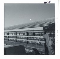 Ron Tracy feedlot with 100 heard loafing shed
