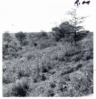 Ray Stillmunkes touring gully before conservation construction, 1969