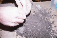 Hands in the dirt.