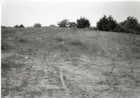 1995  Proposed Terracing project site on Dale Edmunds' farm