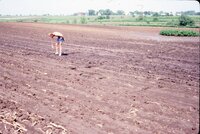 1986 Shirtless man in field