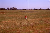 GPS Easements.