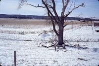 No-till field with winter snow cover.