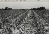 No-till planting corn into corn on Jurgen's farm. 