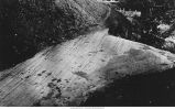 Glacial scorings, Kingston, Iowa, late 1890s or early 1900s
