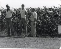 Three Unidentified Men Stand at the Edge of a Cornfield