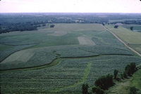 Douglas Township, Section 8 &amp; 9.