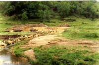 Steve Rolings's water quality project, 1990s