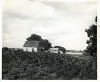 District farm