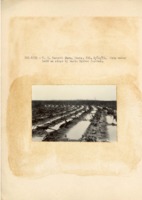 1938 - Irrigation furrow filled with water in field