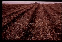 Zone Till in a Farm Field.