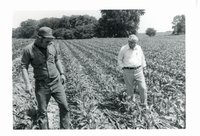No-till on Glen Gravert farm