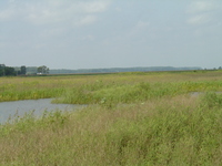 2007 Jack Strawhacker photos of pastures and ponds