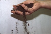 Hands in the dirt.