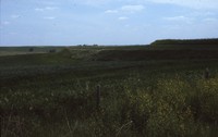 Conservation progress on Jim Fassler's farm.