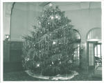 Christmas tree in the Iowa Memorial Union, the University of Iowa, 1950s