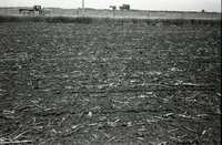 Truck parked by no-till field