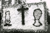 Homecoming Float