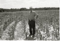 Man stands in grassy field