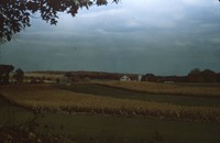 Strip cropping. 