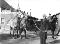 Malvern Sale Barn