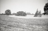 Grassy field with barn in background