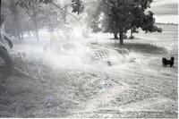Dust kicked up by tractor