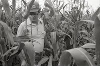 1978 Unidentified men examining corn