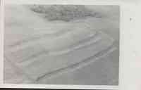Unidentified contoured farmland in Plymouth County, Iowa