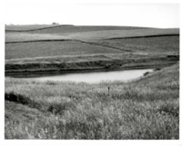 Cass County Field and Pond