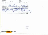 Glen Eads dairy heard grazing, 1963