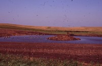Wetland Project on Jeff Morrison's Farm.