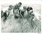 Professor Dodd and students doing fieldwork at Iowa Lakeside Laboratory, West Lake Okoboji, 1960s