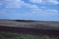 Drainage Waterway on the Jaquith Farm.