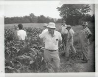 Group of Men in Corn Field