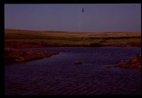 Wetland Project on Jeff Morrison's Farm.