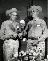 Goodyear contest in Arizona