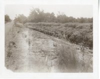 Topsoil Piled Along Fence